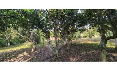 Se vende lote semiurbano de 3200 M2 en 400 mill neg, en La Mesa Cund