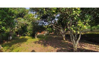 Se vende lote semiurbano de 3200 M2 en 400 mill neg, en La Mesa Cund