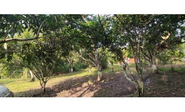 Se vende lote semiurbano de 3200 M2 en 400 mill neg, en La Mesa Cund