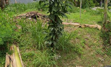 Dijual Tanah Villa Inti Persada blok A3 No. 20A kel. Pamulang Timur