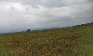 jual murah tanah d  bareng   . rumah hunian .bengkel  gudang