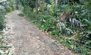 Tanah dekat SMA N1 kutasari purbalingga