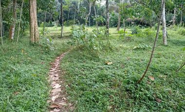 Tanah dekat SMA N1 kutasari purbalingga