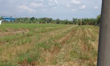 Jual tanah  murah d Mojokerto bagus banguna pabrik .gudang dll