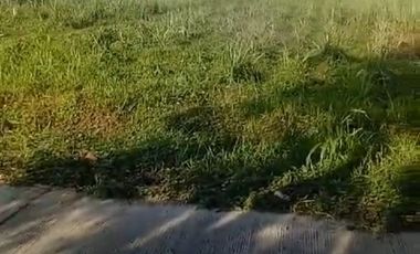 Jual tanah Murah  gedek Mojokerto bagus bangun perumahan