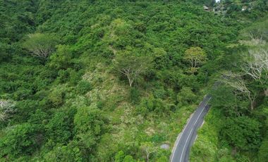 Tanah murah dekat pantai lancing Lombok. Cocok untuk villa