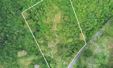 Tanah murah dekat pantai lancing Lombok. Cocok untuk villa