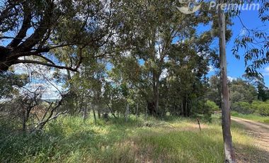 Parcela en Venta en A 15 minutos desde Cauquenes aproximado