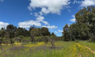 Parcela en Venta en A 15 minutos desde Cauquenes aproximado