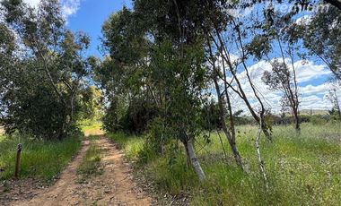 Parcela en Venta en A 15 minutos desde Cauquenes aproximado