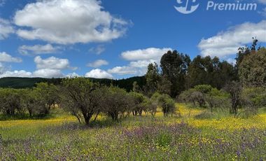 Parcela en Venta en A 15 minutos desde Cauquenes aproximado