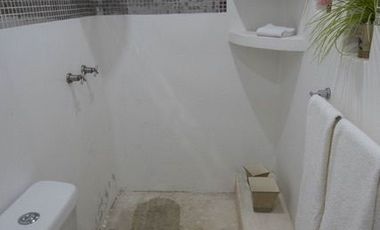 Local comercial con dos departamentos en una ubicación privilegiada en el centro