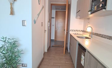 MODERNO DEPARTAMENTO CON VISTA ICÓNICA AL MAR