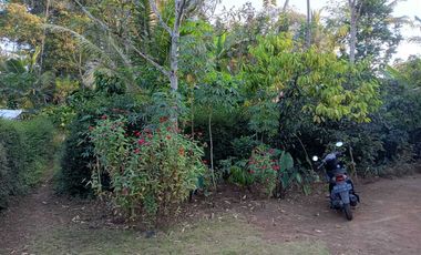 Dijual Tanah Pekarangan Murah Pringsurat, Cocok Hunian dan Kapling