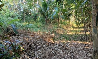 Dijual Tanah Pekarangan Murah Pringsurat, Cocok Hunian dan Kapling