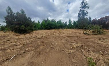 Sitio en Venta en Alto Las Cruces