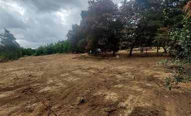 Sitio en Venta en Alto Las Cruces