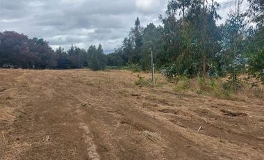 Sitio en Venta en Alto Las Cruces
