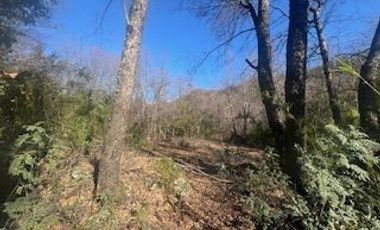 Parcela en Venta en Linda parcela con casa a orilla camino a las Termas de Chillán