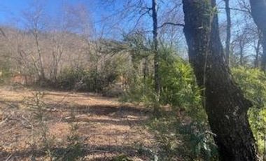 Parcela en Venta en Linda parcela con casa a orilla camino a las Termas de Chillán