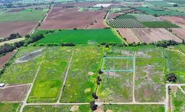 Terreno Construccion  en Venta en Purisima