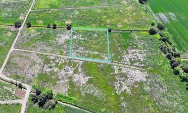 Terreno Construccion  en Venta en Purisima