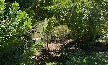 Casa en Arriendo en Playa El Abaníco Maitencillo