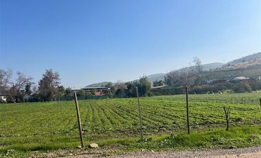Agrícola en Venta en Terreno subdividible en 350 m2 75 hab/hec