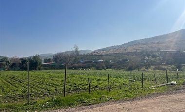 Agrícola en Venta en Terreno subdividible en 350 m2 75 hab/hec