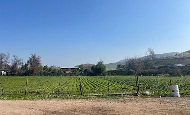 Agrícola en Venta en Terreno subdividible en 350 m2 75 hab/hec