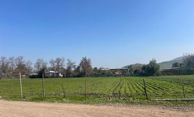 Agrícola en Venta en Terreno subdividible en 350 m2 75 hab/hec