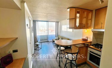 Hermoso departamento en venta - San Francisco, Santiago