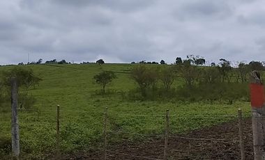 VENDO MACROTERRENO CAMPESTRE DOS MANGAS MANGLARALTO