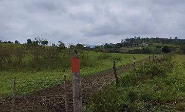 VENDO MACROTERRENO CAMPESTRE DOS MANGAS MANGLARALTO