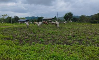 VENDO MACROTERRENO PARA CIUDADELA CAMPESTRE EXCLUSIVA DENTRO DE LOTIZACION DOS MANGAS MANGLARALTO