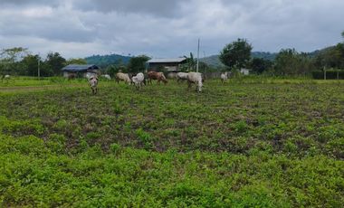VENDO MACROTERRENO PARA CIUDADELA CAMPESTRE EXCLUSIVA DENTRO DE LOTIZACION DOS MANGAS MANGLARALTO