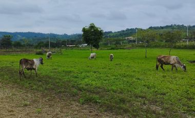 VENDO MACROTERRENO PARA CIUDADELA CAMPESTRE EXCLUSIVA DENTRO DE LOTIZACION DOS MANGAS MANGLARALTO