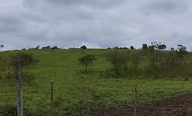 VENDO MACROTERRENO CAMPESTRE DOS MANGAS MANGLARALTO