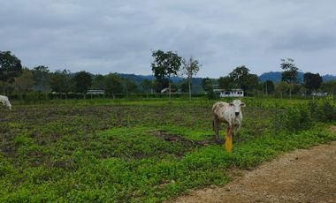 VENDO MACROTERRENO PARA CIUDADELA CAMPESTRE EXCLUSIVA DENTRO DE LOTIZACION DOS MANGAS MANGLARALTO