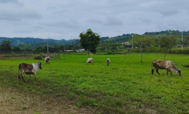 VENDO MACROTERRENO CAMPESTRE DOS MANGAS MANGLARALTO