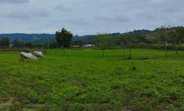 VENDO MACROTERRENO PARA CIUDADELA CAMPESTRE EXCLUSIVA DENTRO DE LOTIZACION DOS MANGAS MANGLARALTO