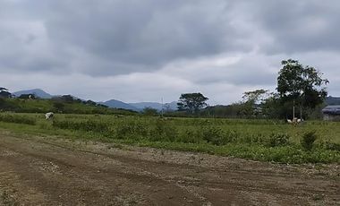 VENDO MACROTERRENO CAMPESTRE DOS MANGAS MANGLARALTO