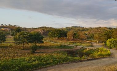 VENDO MACROTERRENO CAMPESTRE DOS MANGAS MANGLARALTO