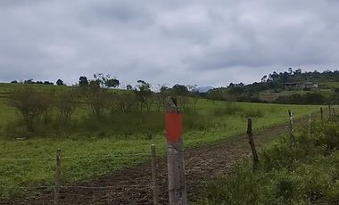 VENDO MACROTERRENO PARA CIUDADELA CAMPESTRE EXCLUSIVA DENTRO DE LOTIZACION DOS MANGAS MANGLARALTO