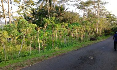 Dijual Tanah Pinggir Jalan Pringsurat, Cocok Perkebunan dan Investasi