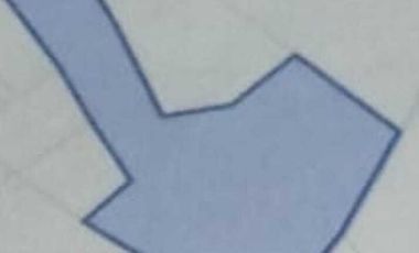 Dijual Tanah Pinggir Jalan Pringsurat, Cocok Perkebunan dan Investasi