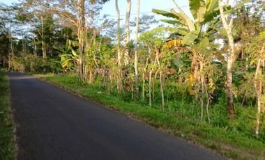 Dijual Tanah Pinggir Jalan Pringsurat, Cocok Perkebunan dan Investasi