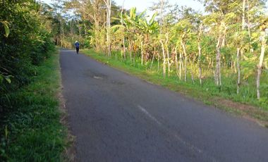 Dijual Tanah Pinggir Jalan Pringsurat, Cocok Perkebunan dan Investasi