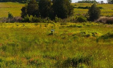 Parcela en Venta en A 3 minutos de Rio Frio.