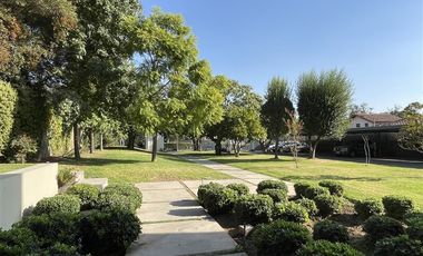 Departamento en Arriendo en Principe de Gales / Carlos Ossandon